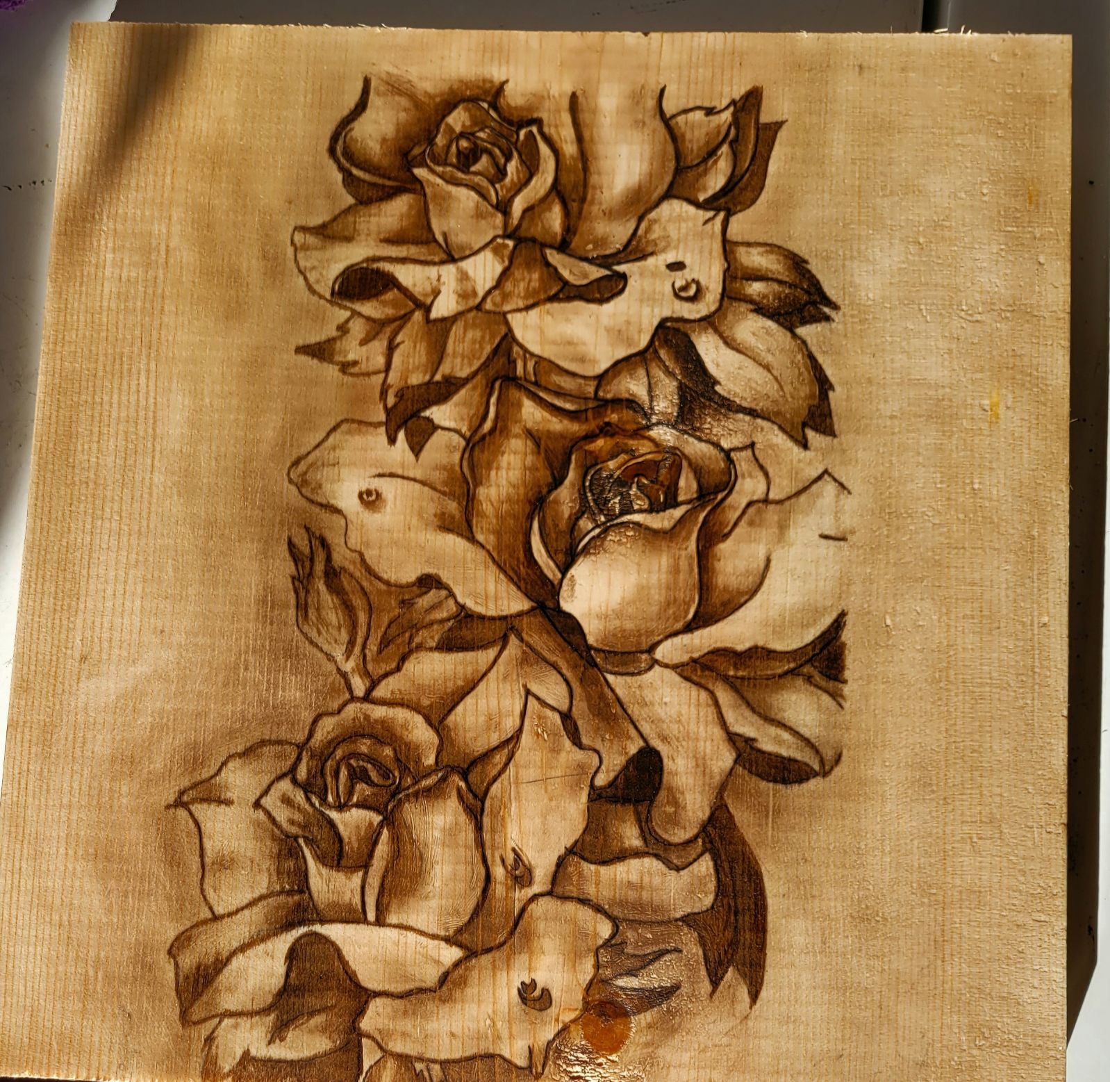Climbing Roses
