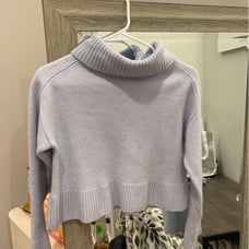 Aritzia Titus Sweater - blue cropped turtleneck
