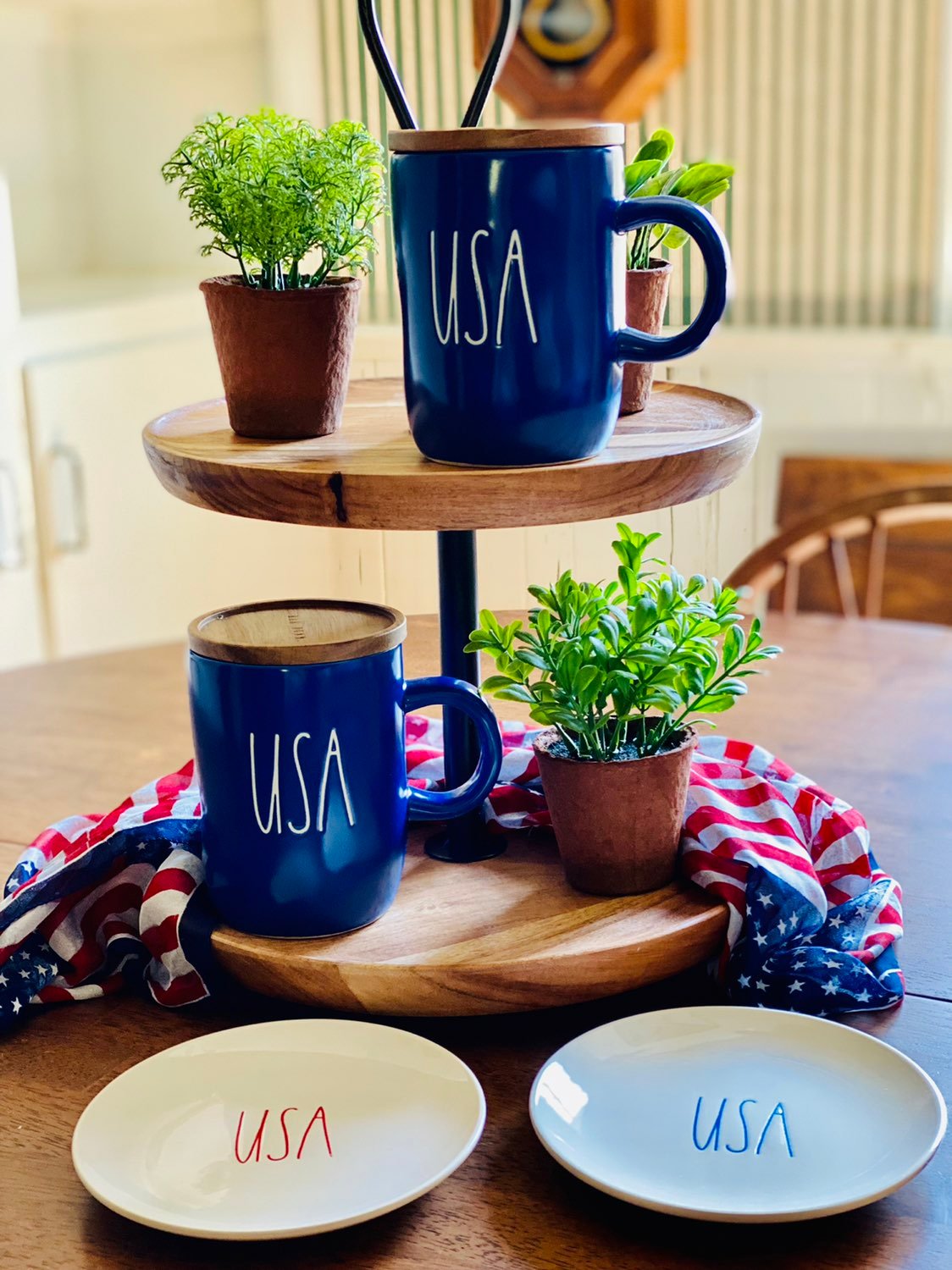 Rae Dunn USA Mug and Plate Set