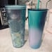 Starbucks Duo 2022 tumblers