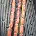 Hilo Buddha varigated sugar cane Rare Plant
