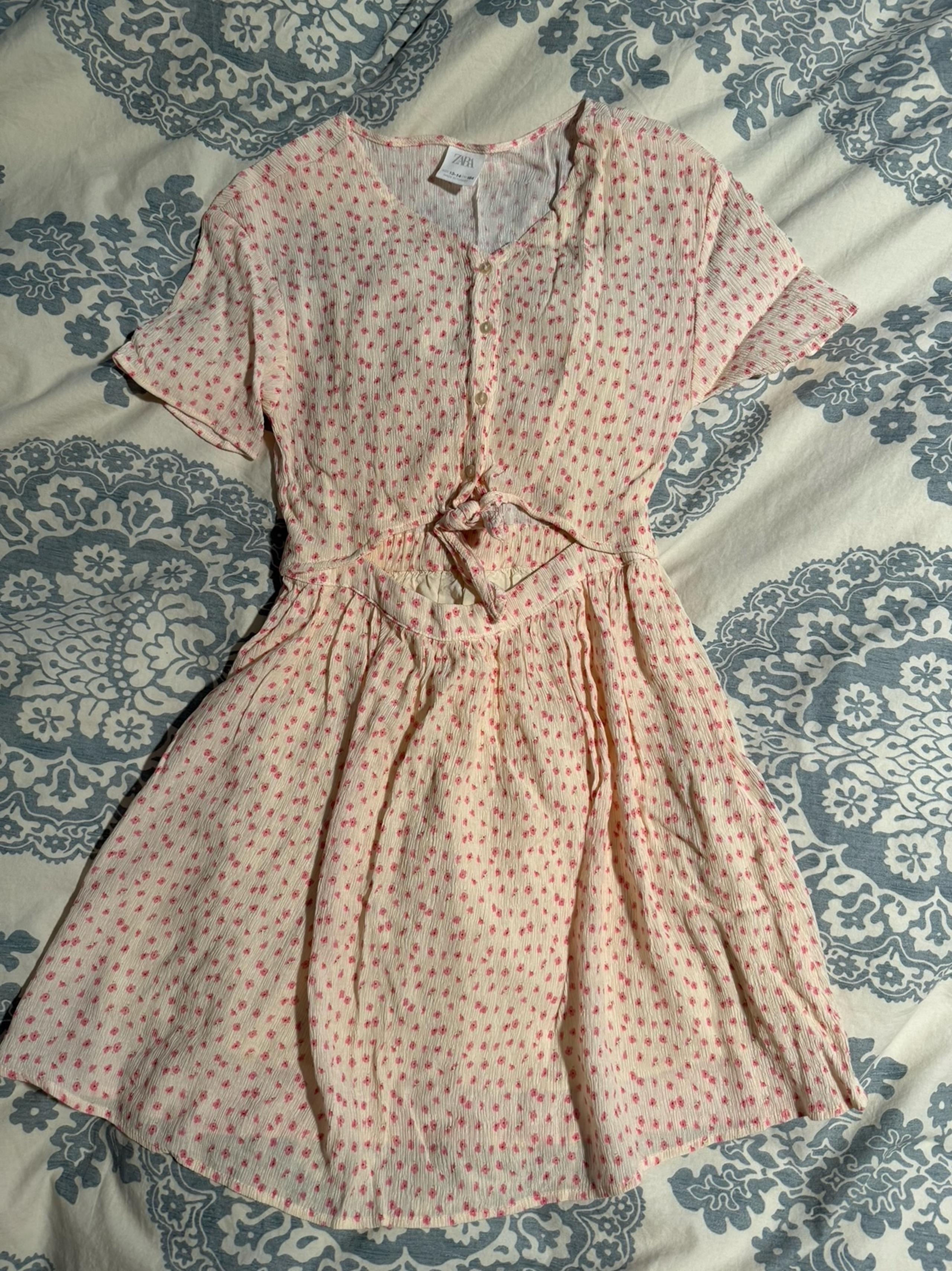 Zara Dress