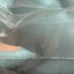 Disney Exclusive Dumbo Elephant Squishy