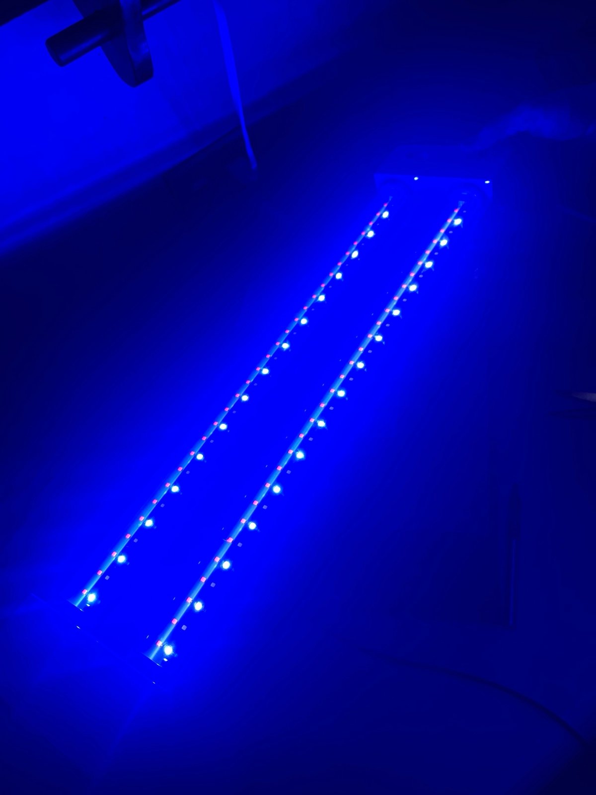 Light