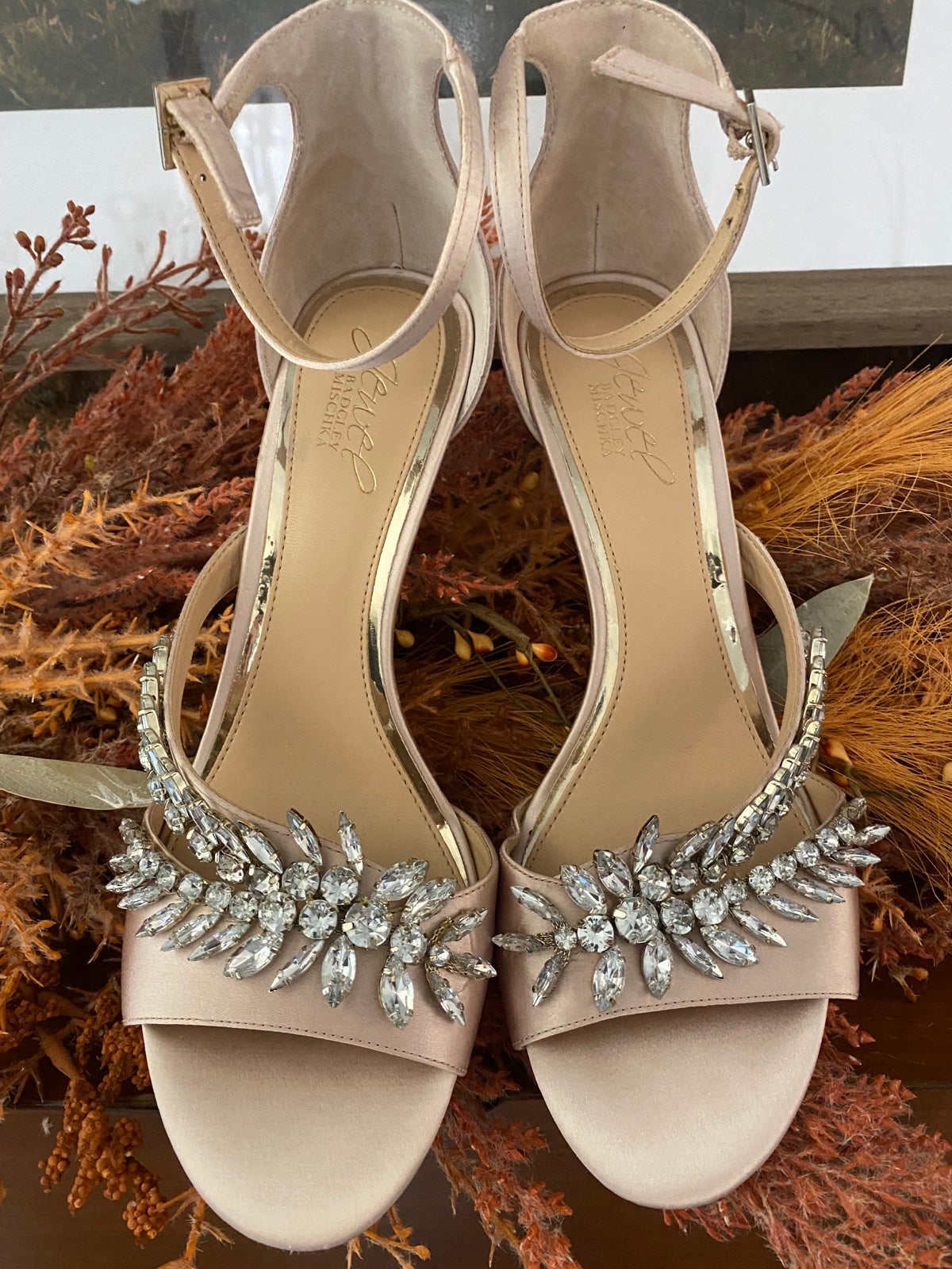 Badgley Mischka Jewel Champage heels