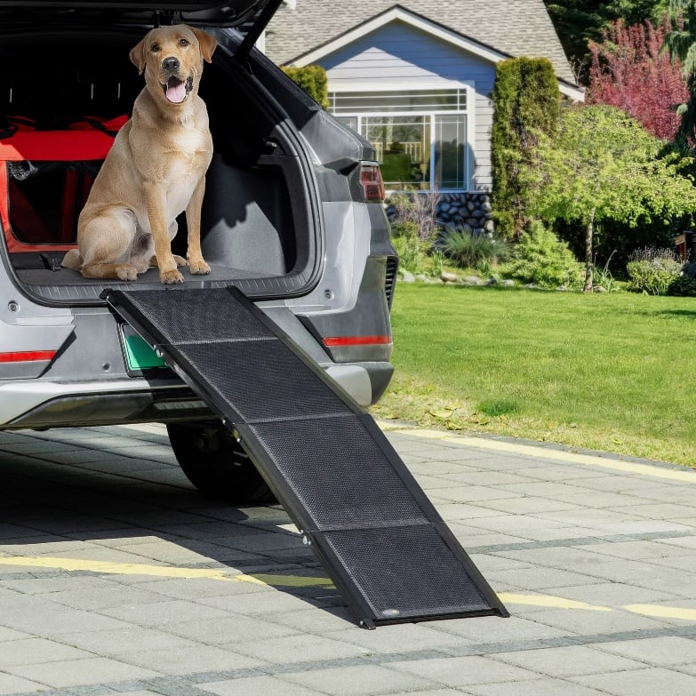 dog ramp for suv