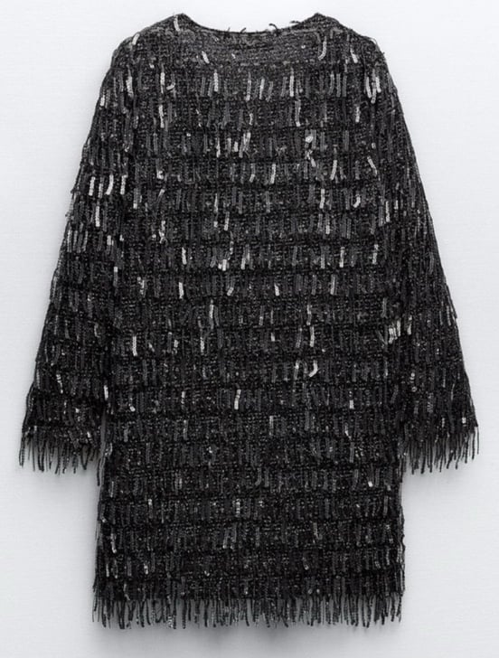 Zara Blogger Favorite Fringed Sequin Mini Dress Size M