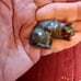 Cat lovers package, 1 teapot or pitcher, 4 pins, gloves bronze cat, 1 magnet, l