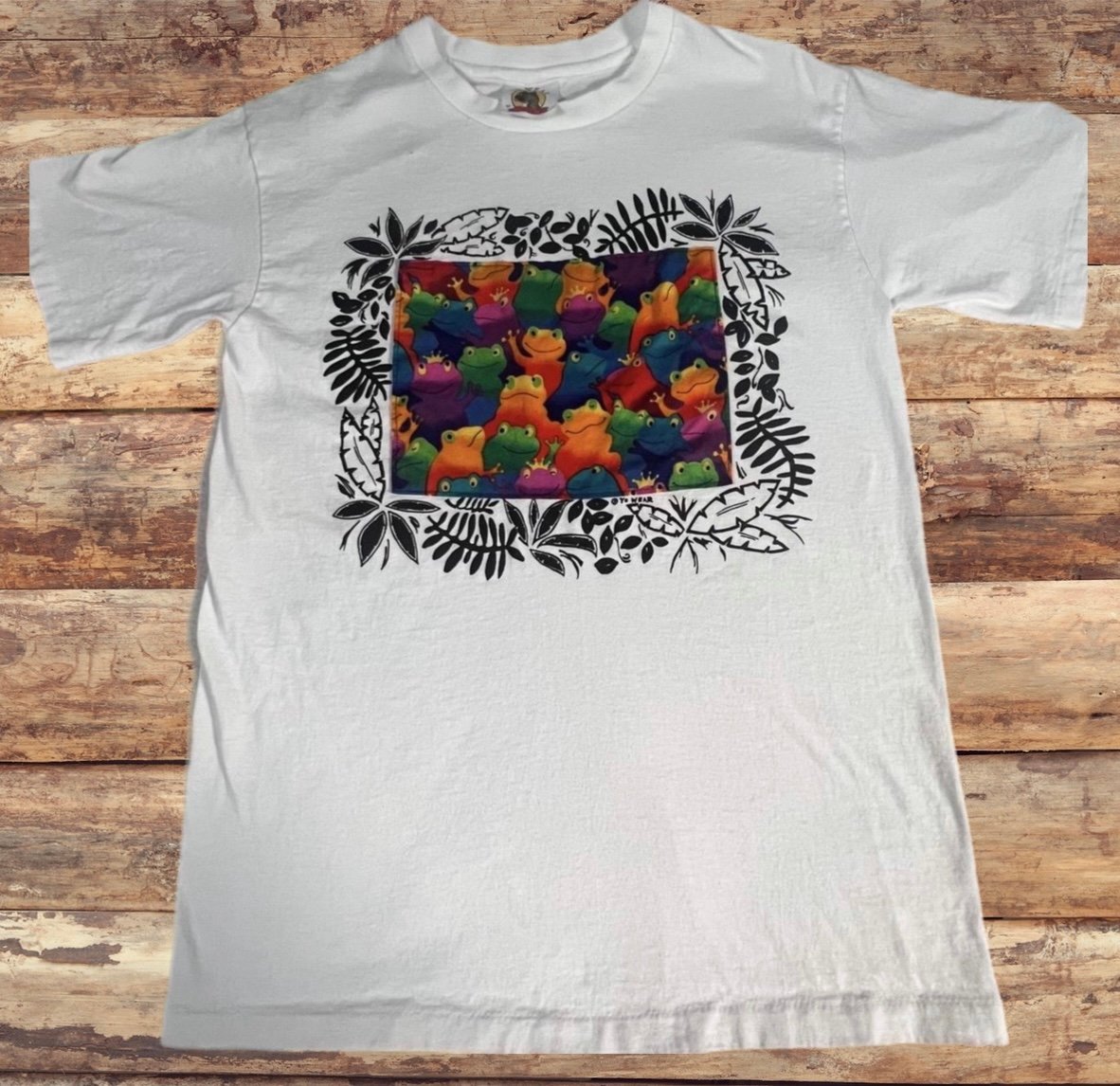 Vintage Yo Wear Rainbow Frog Nature Tshirt Single Stitch