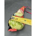 Vintage Villeroy & Boch Forest Ornament Lady Gnome With Crow EUC! -6D