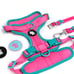 Neon Dog Bundle