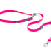 Neon Dog Bundle