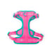 Neon Dog Bundle