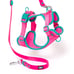 Neon Dog Bundle