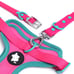 Neon Dog Bundle
