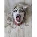 Scary vampire Goblin head AS IS blood prop as is Halloween decor