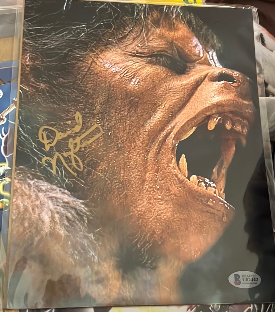 American Werewolf in London Autograph David Naughton