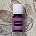 Forgiveness Essential Oil Blend 5mL YLEO
