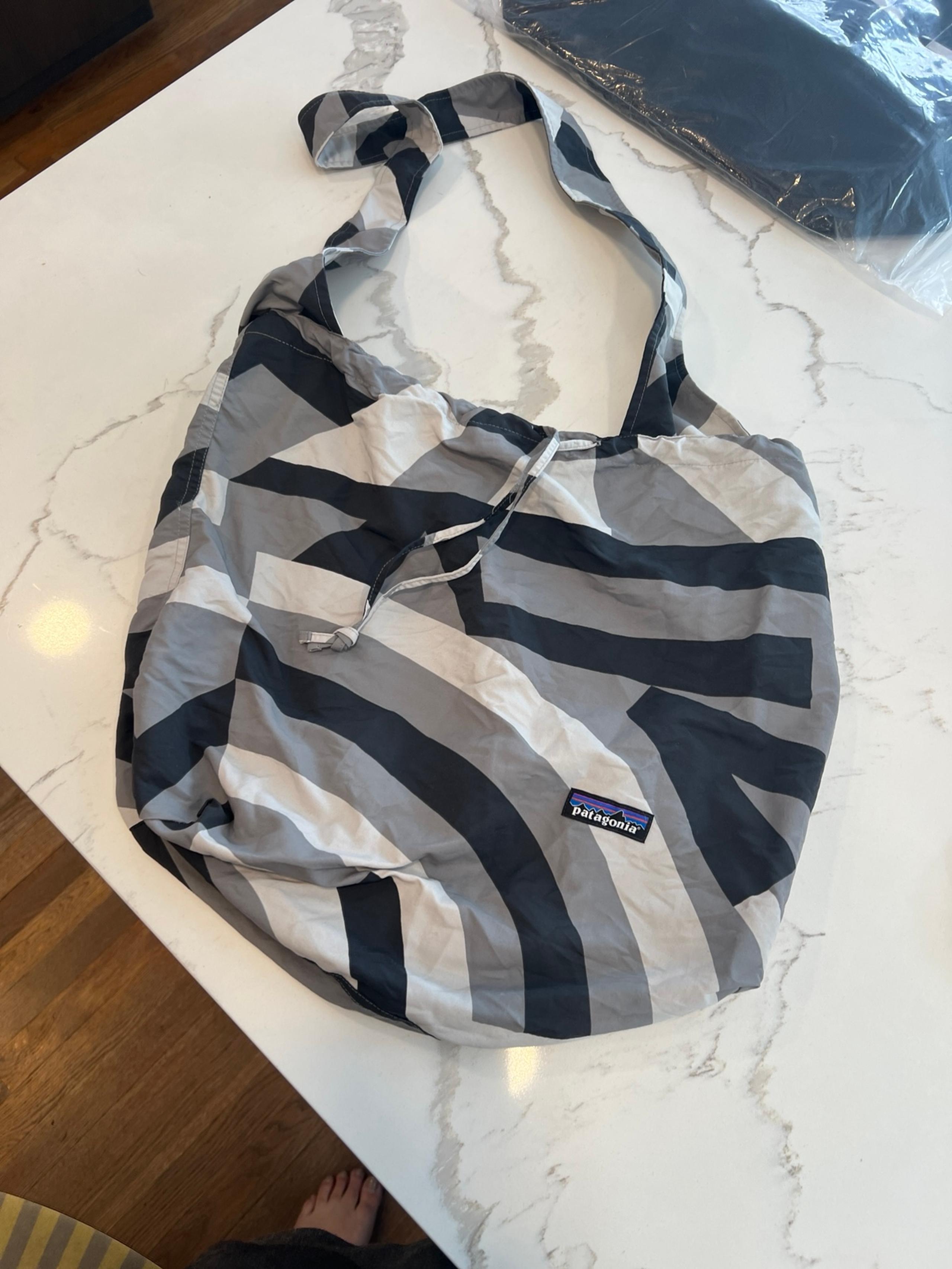 Patagonia eco bag carry all nylon bag