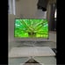 Hp Computer
