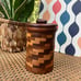 Handmade & Hand-stained Multi-wood Checkerboard Canister/Jar USA