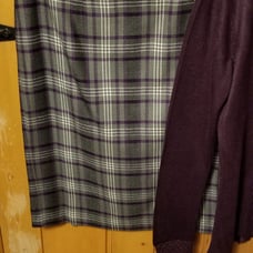 Purple And White Plaid Skirt