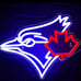 NHL HOCKEY LED LIGHT (Canada)