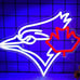 NHL HOCKEY LED LIGHT (Canada)