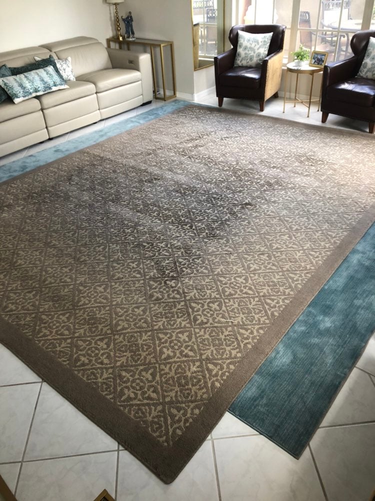Area Rug
