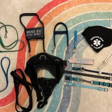 SERVICE DOG GEAR