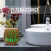 Aromatherapy essential oil Diffuser Purenaissance, Domestic-professional use.
