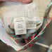Lilly Pulitzer Don’t be Shellfish Callahan Aqua Coral Turtle Shorts Size 0 NWT