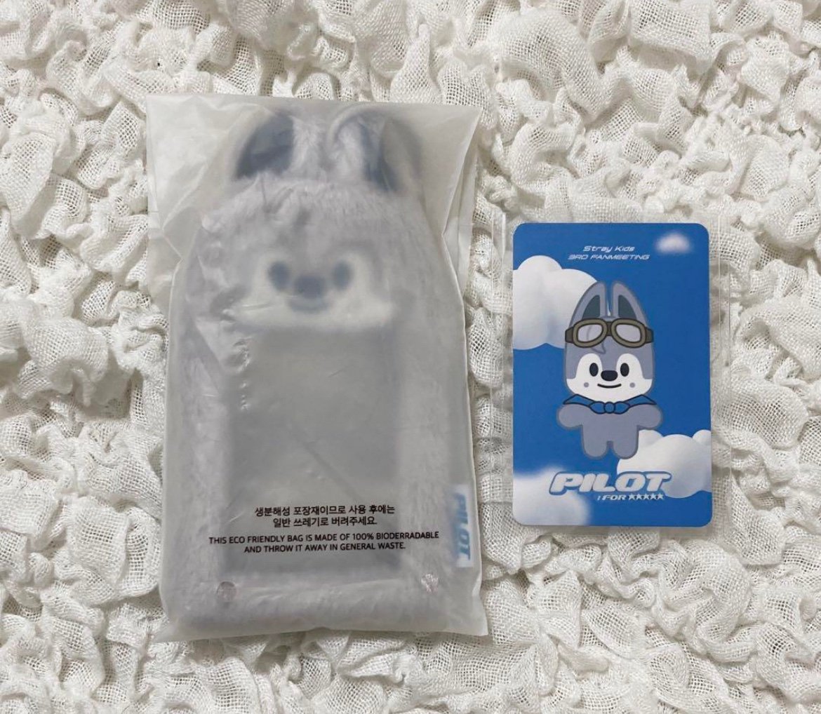 Stray Kids bang chan wolfchan photocard holder pilot