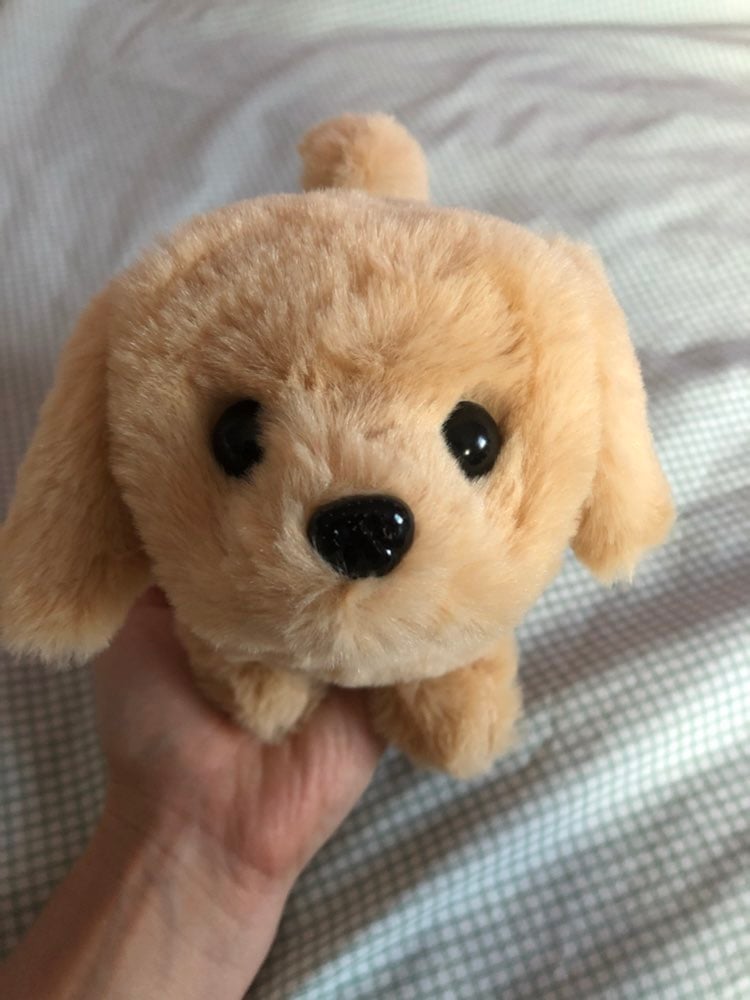 Plush