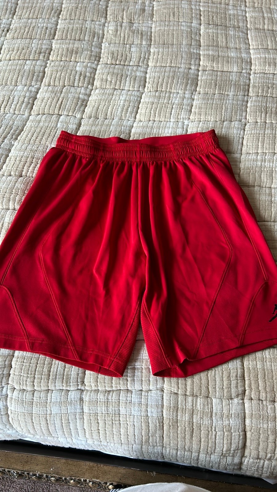 Jordan Training Shorts