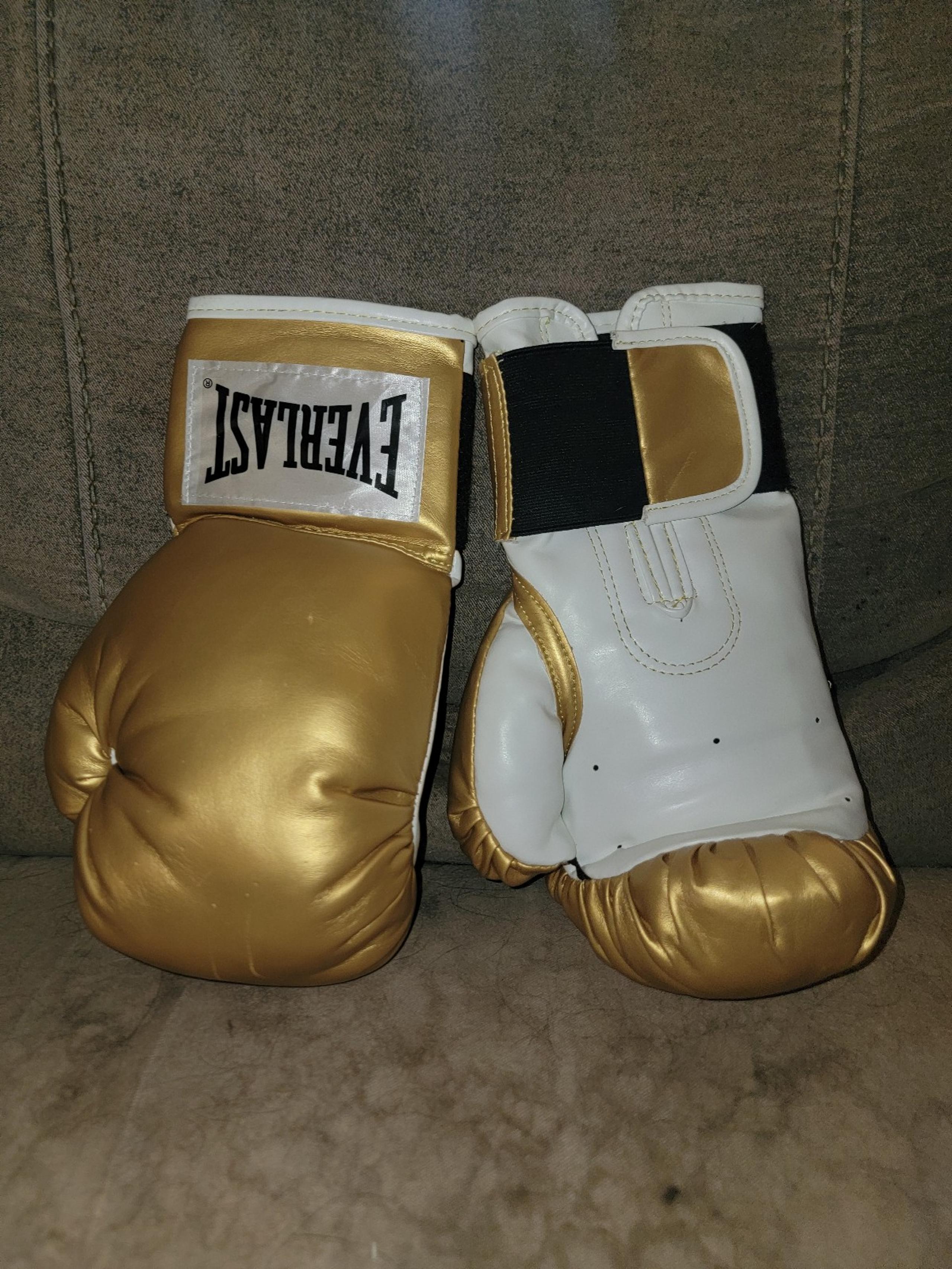 Everlast Boxing Gloves