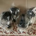 1995-2004 dodge ram 1500 suspension kit