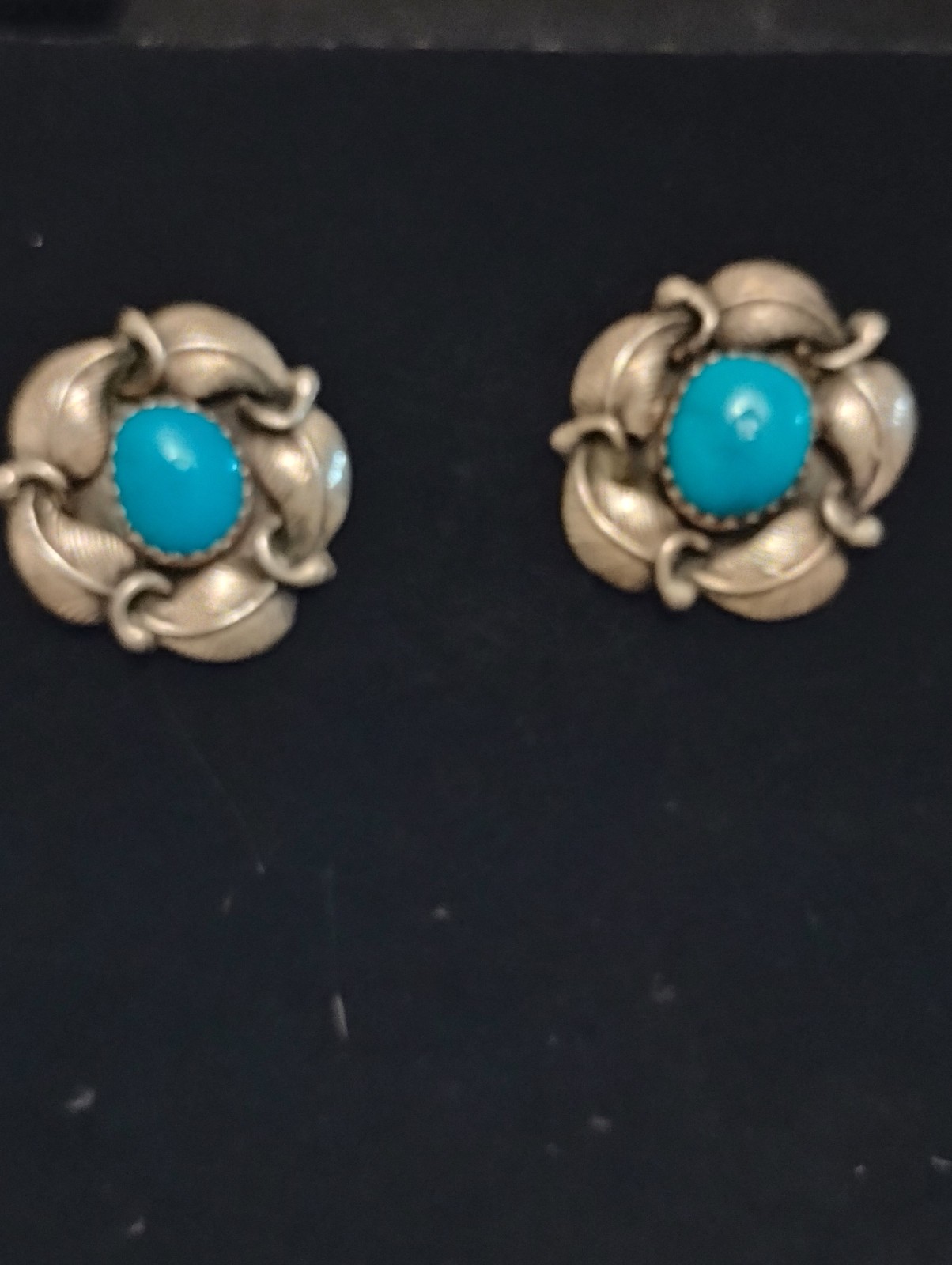 Sleeping beauty turquoise earrings
