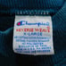 Vintage 90s Champion Reverse Weave Sweatshirt Size XL Crewneck Blue Green