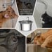 3.2L/108oz Automatic Stainless Steel Pet Fountain Water Dispenser, for Cat & Dog