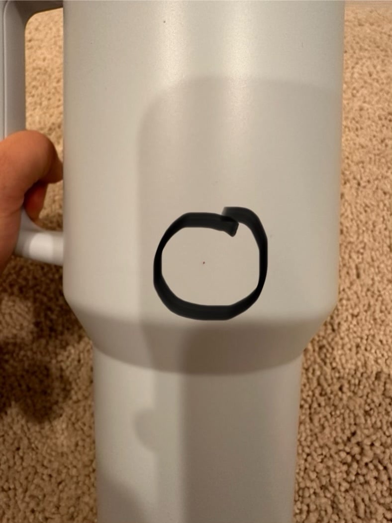 stanley x Starbucks spring blue