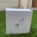 AirPods Pro Gen 2