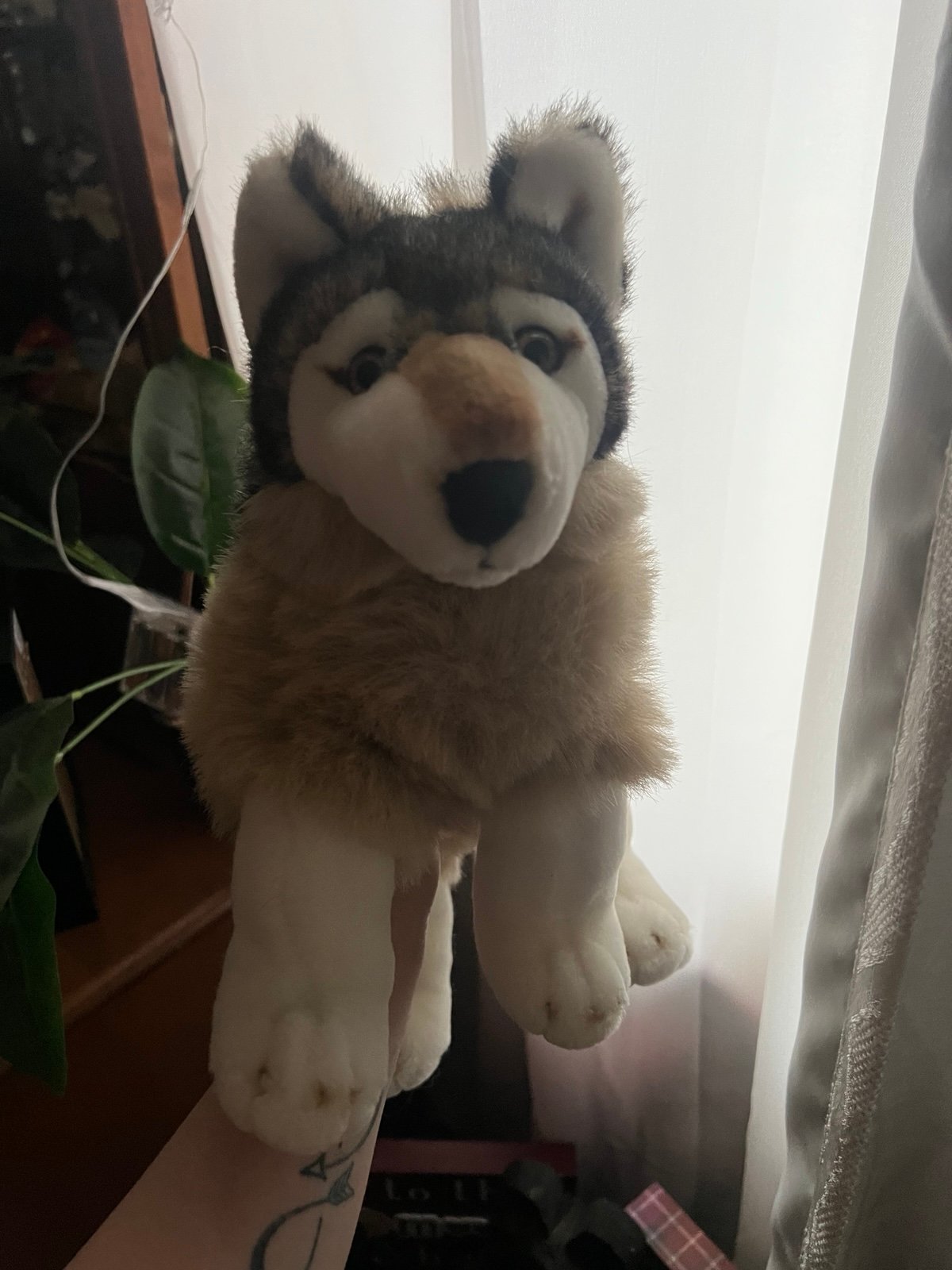 Floppy wolf plush