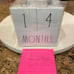 Rae Dunn Baby Milestone Blocks