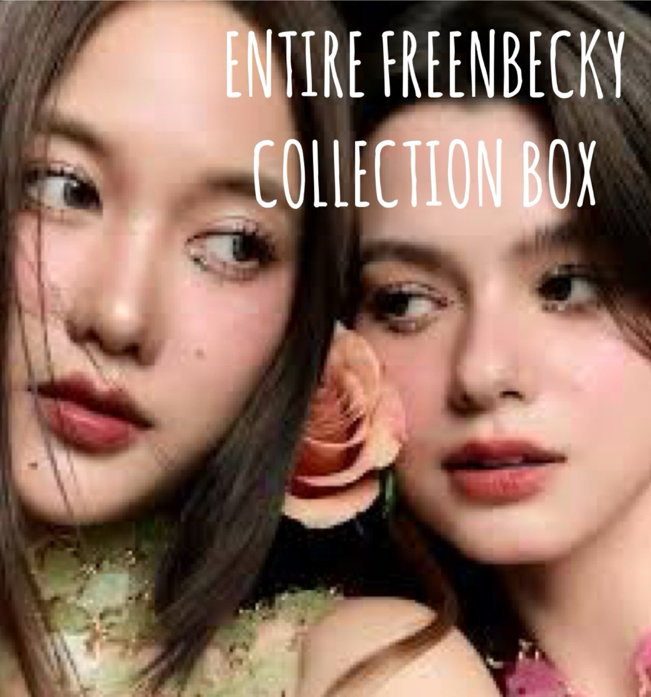 Entire freenbecky collection