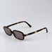 Miu Miu MU11ZSF 14L20I REGARD BRAND NEW Sunglasses Havana Purple Brown Unisex