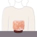 Scentsy - Himalayan Salt – Pink Warmer - New 100%