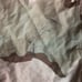 Camo Gortex Jacket