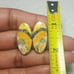 BumbleBee Jasper Natural Gemstone Cab