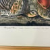 Vintage Audubon pinnated grouse art print plate 186 custom framed birds nature